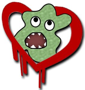 Heartbleed security flaw